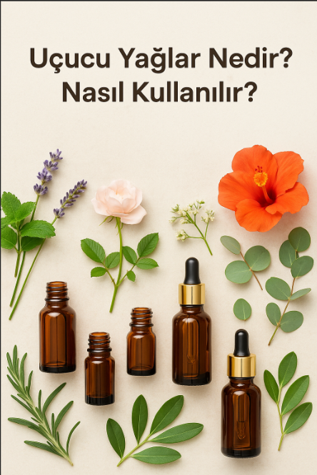  Uçucu Yağlar Nedir? Nasıl Kullanılır? Nasıl Üretilir? | Aromaterapi Rehberi