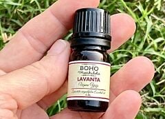 Lavanta uçucu Yağı