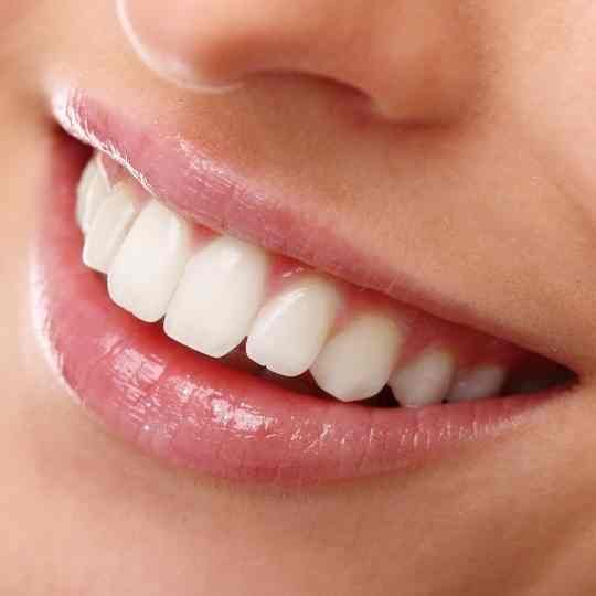 Ağız ve Diş Bakım <br>Ürünleri